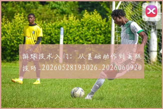 排球技术入门:从基础动作到高级技巧_20260528193026_20260609200930